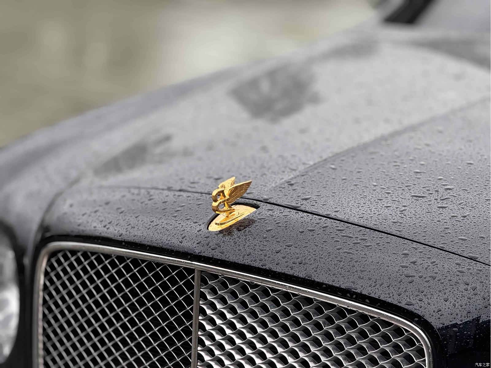 Bentley Mulsanne, 2015 22