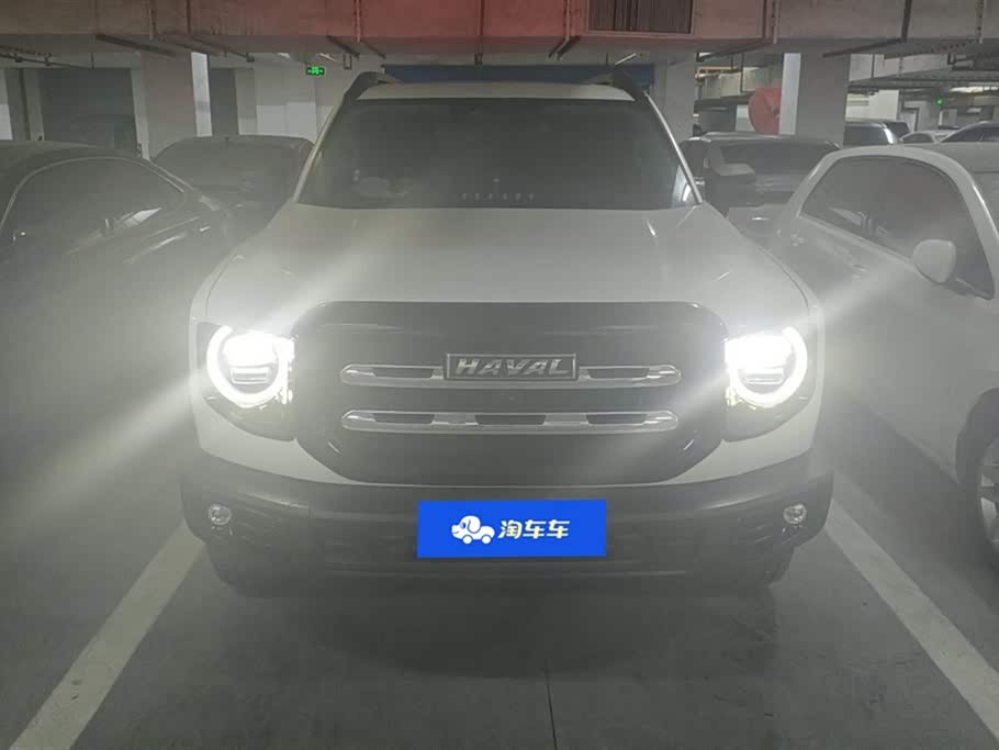 Haval Big dog