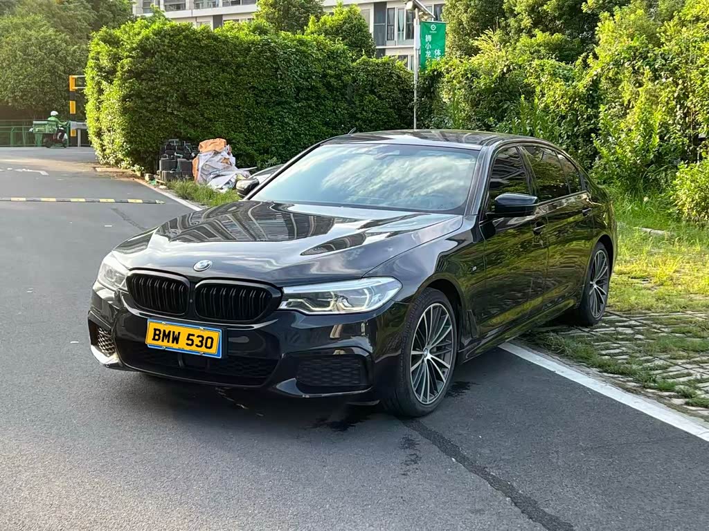 BMW 5 Series 5 2020 530Li Premium M Sport