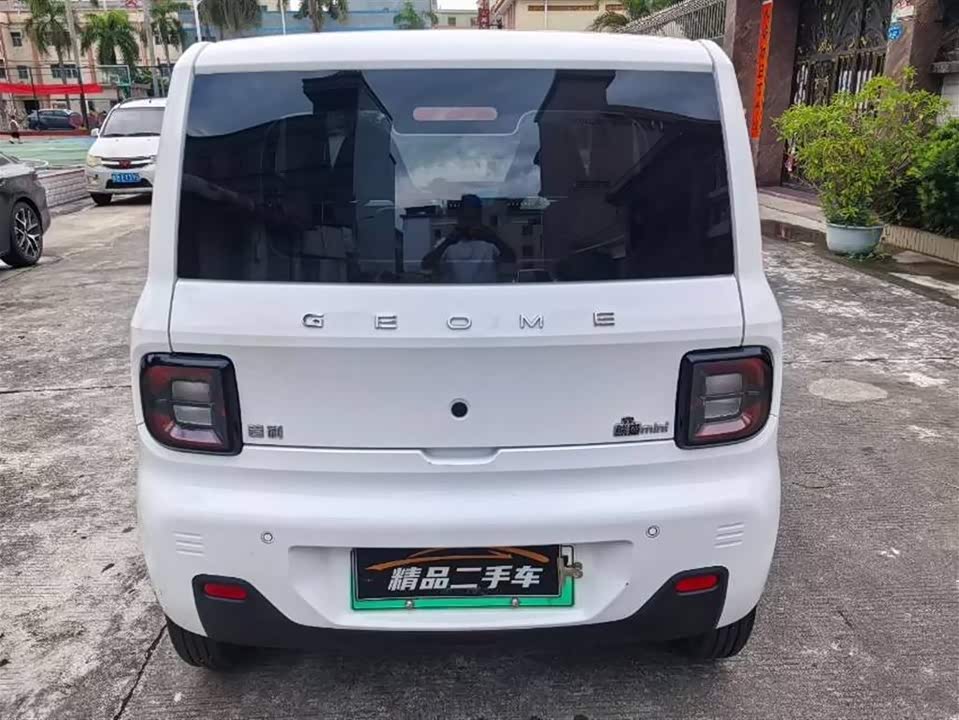 Geely Galaxy panda
