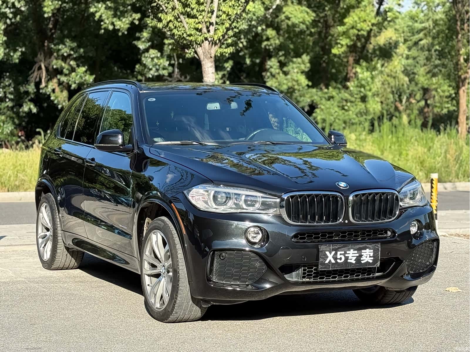 BMW X5, 2016 3
