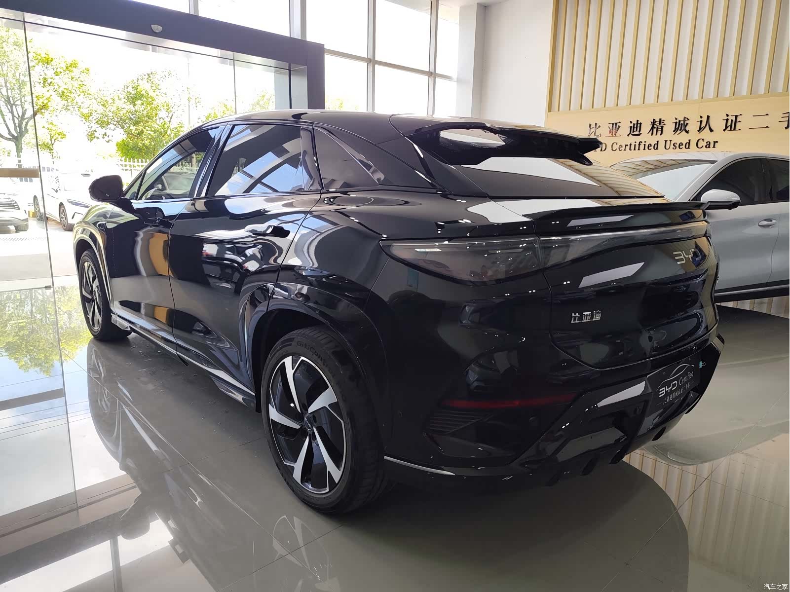 BYD HiAce, 2024 4