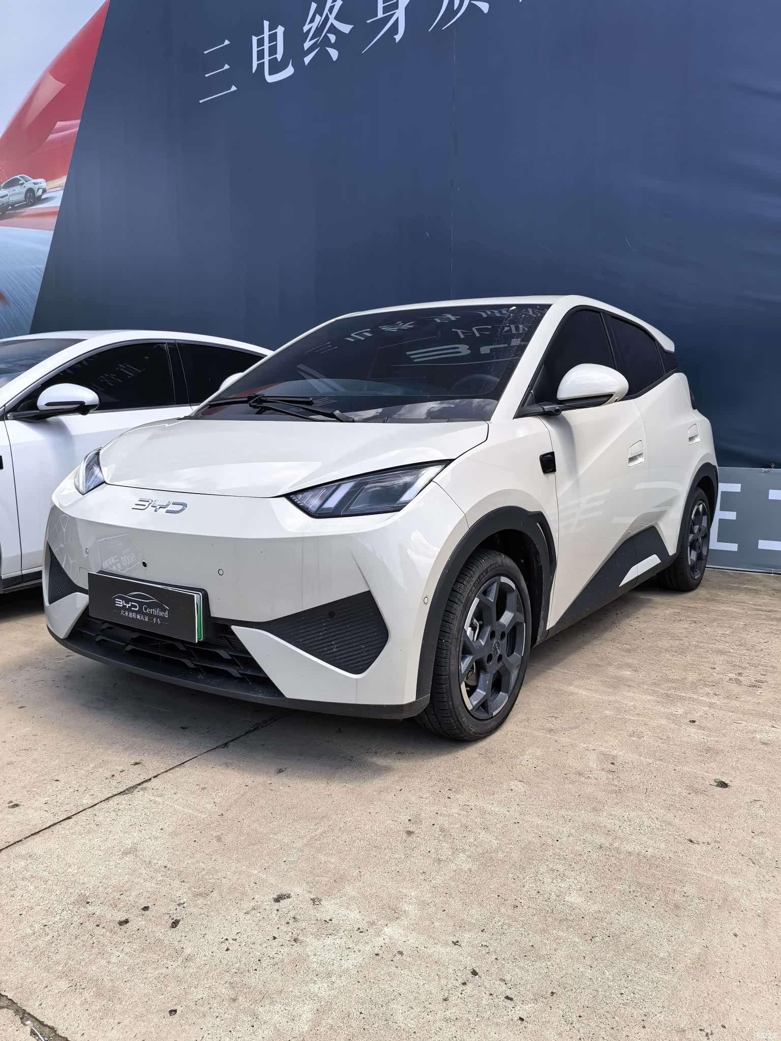 BYD Seagull