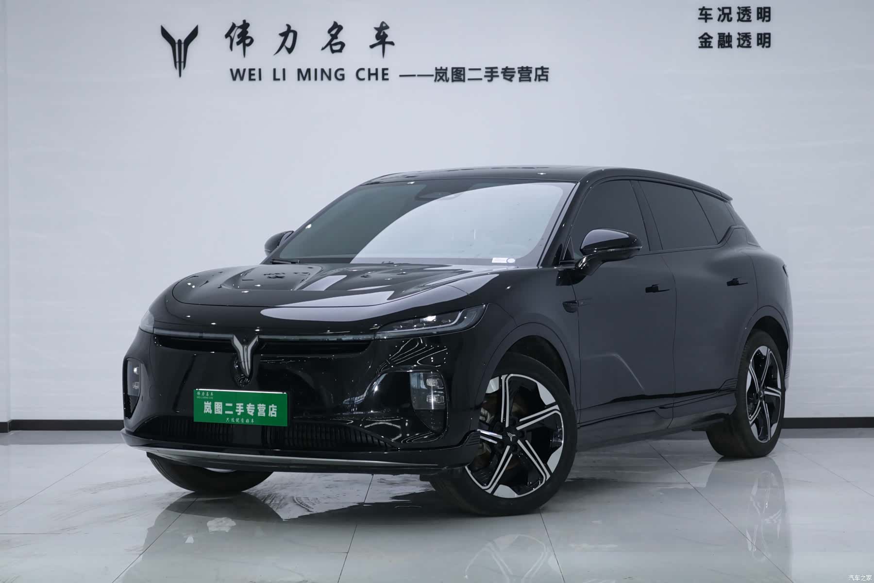 Voyah Zhiyin