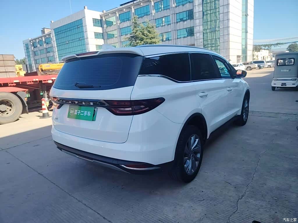 Ruilan 80v, 2024 7