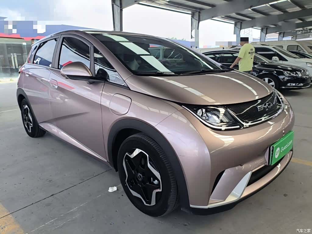 BYD Dolphin, 2022 4