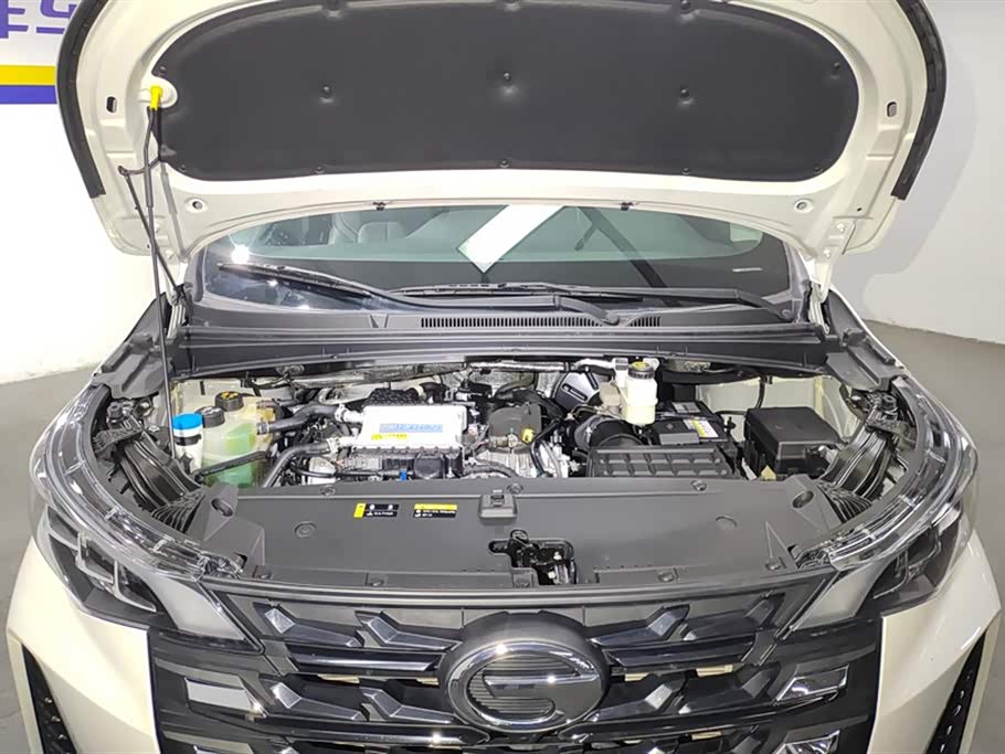 Trumpchi Trumpchi M6