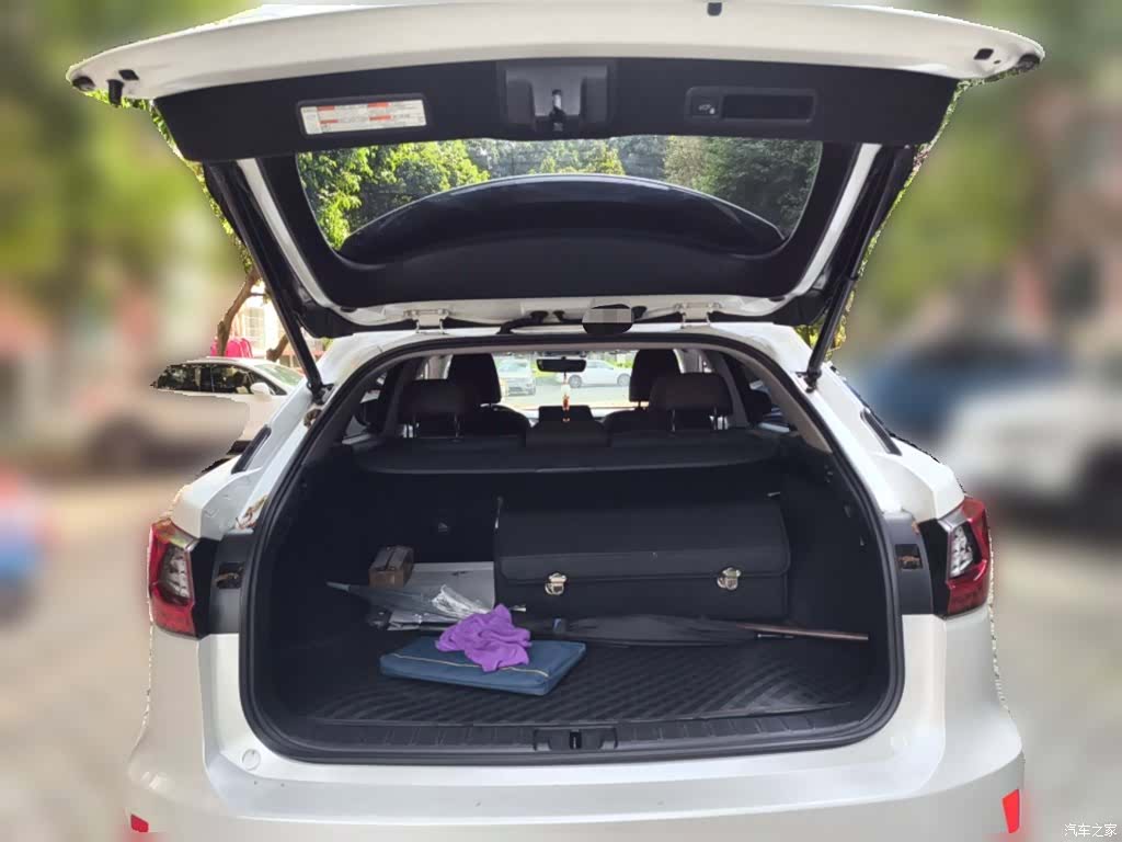 Lexus RX, 2016 10