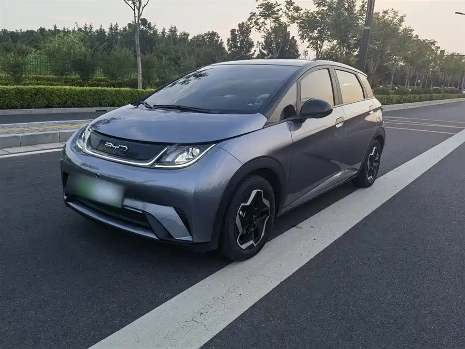 BYD dolphin