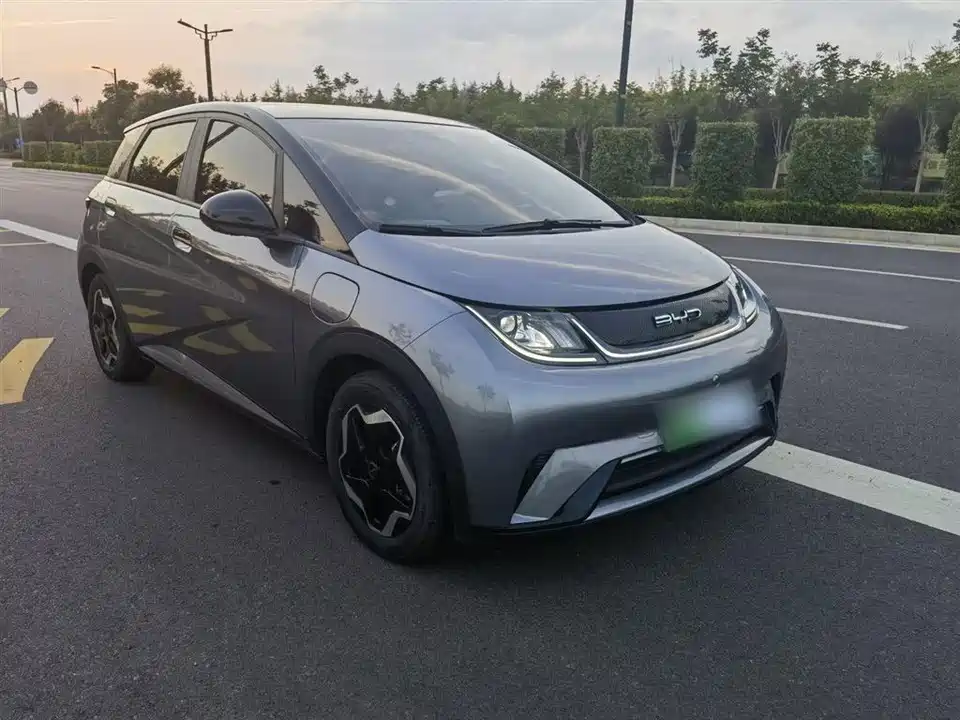 BYD dolphin