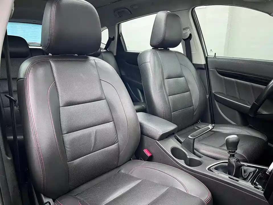 Leopaard Cheetah CS10