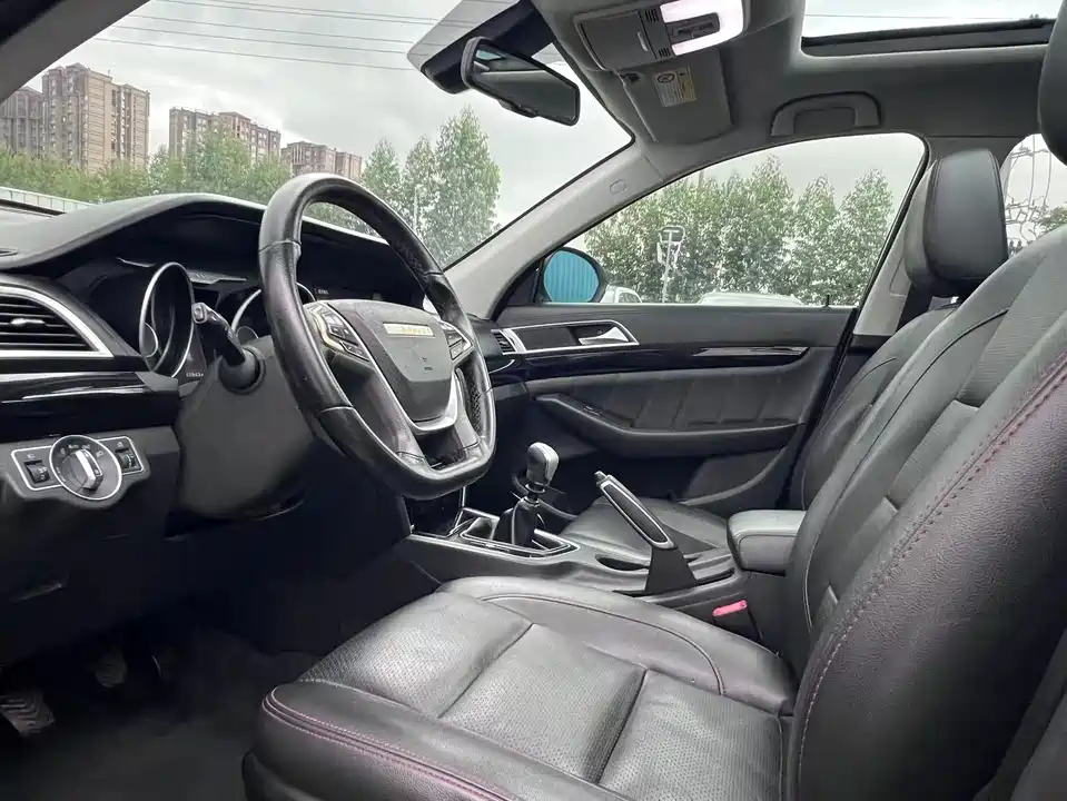 Leopaard Cheetah CS10