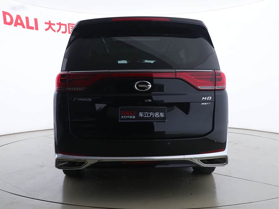 Trumpchi Trumpchi M8