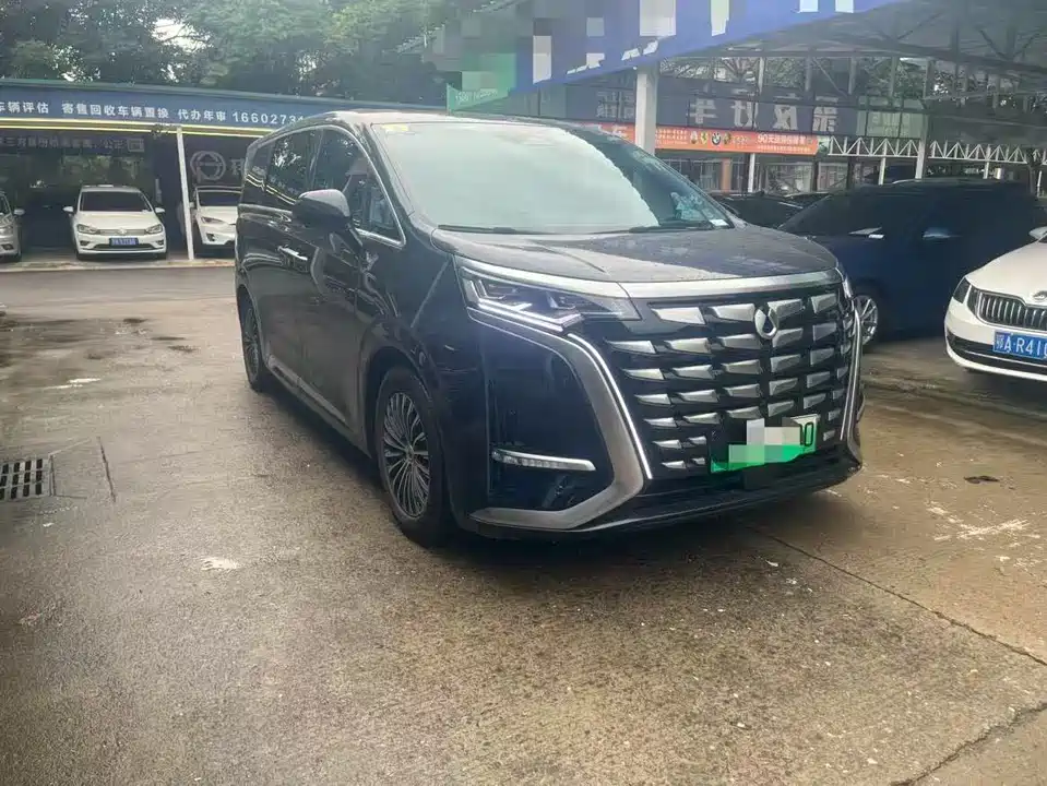 Denza D9