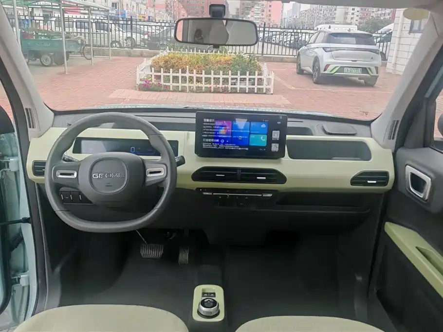 Geely Galaxy panda