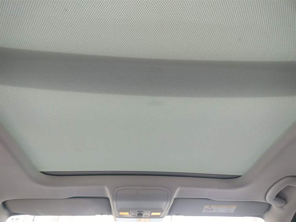 Volkswagen C-TREK Wei Collar