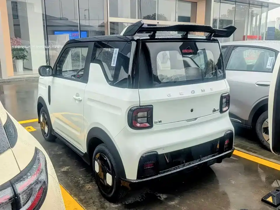Geely Galaxy panda