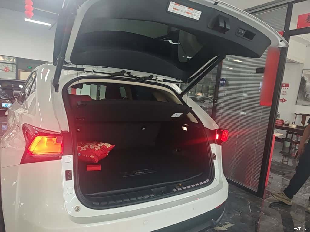 Lexus NX, 2019 19