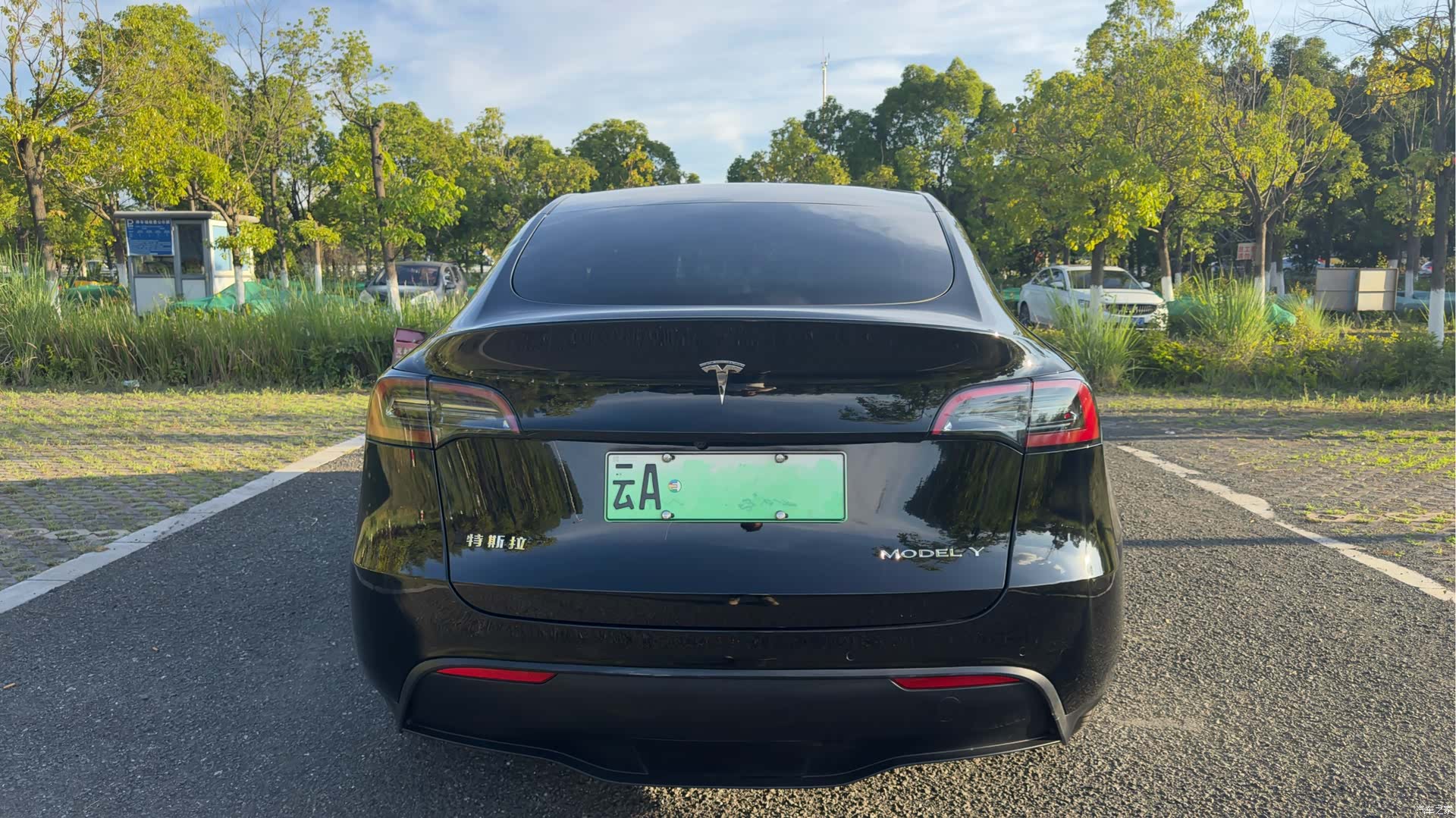 Tesla Model Y, 2023 все фото