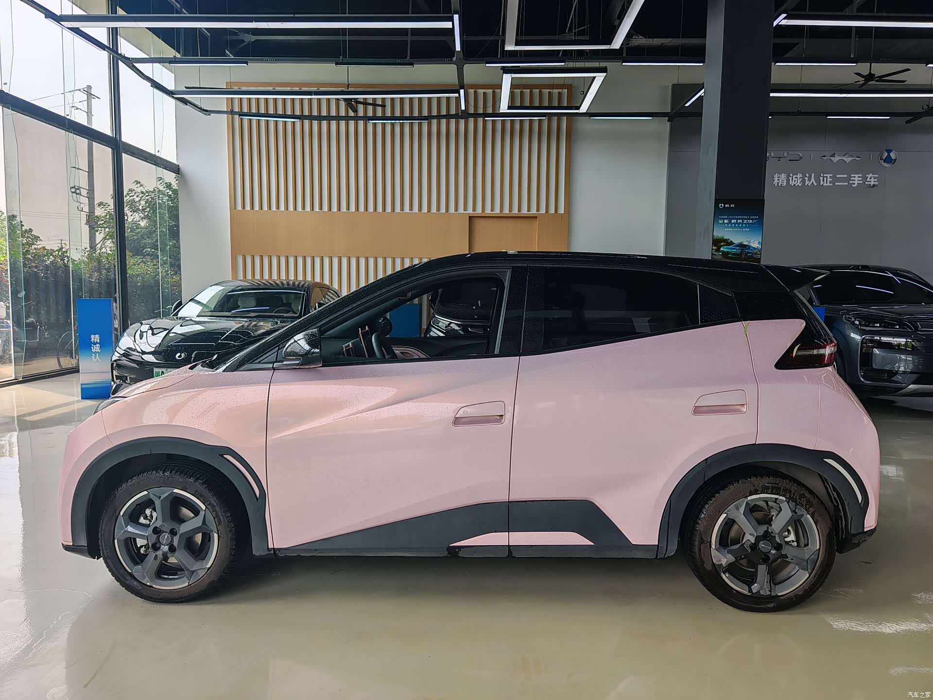 BYD Seagull, 2024 все фото