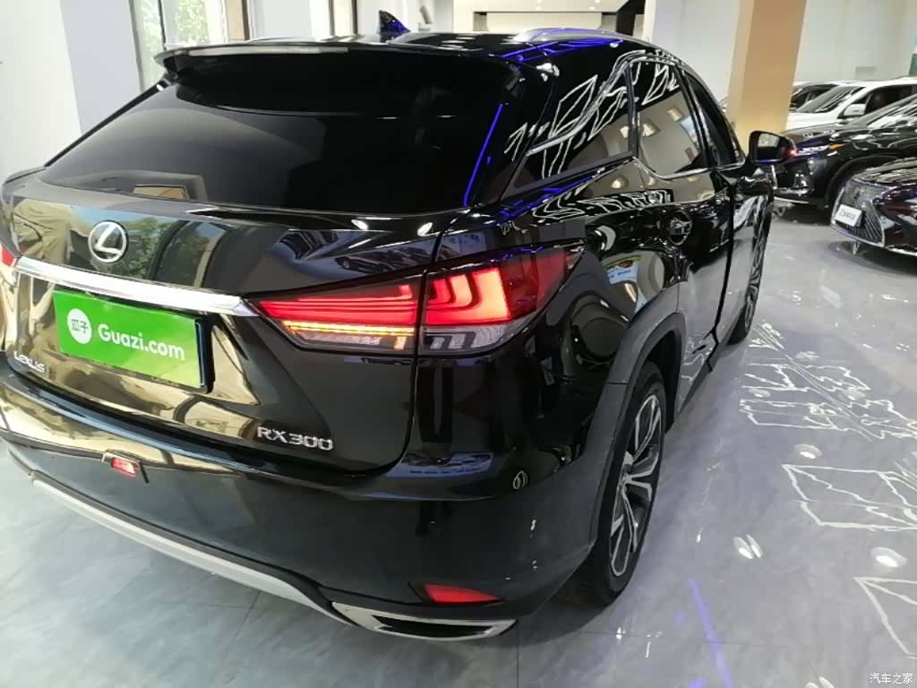 Lexus RX, 2022 7