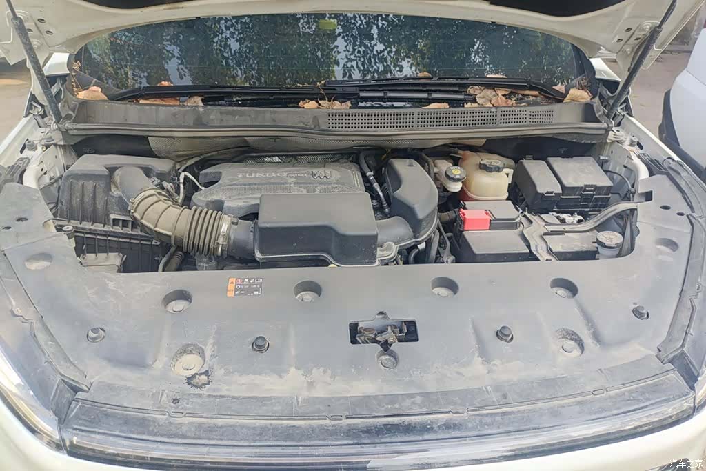 Buick GL8, 2024 10