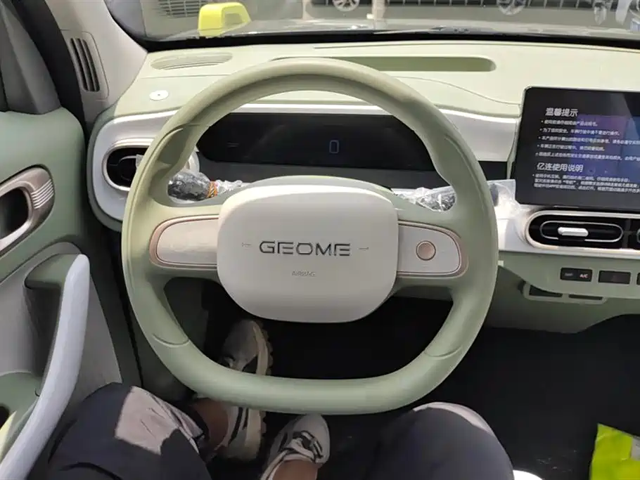Geely Galaxy panda