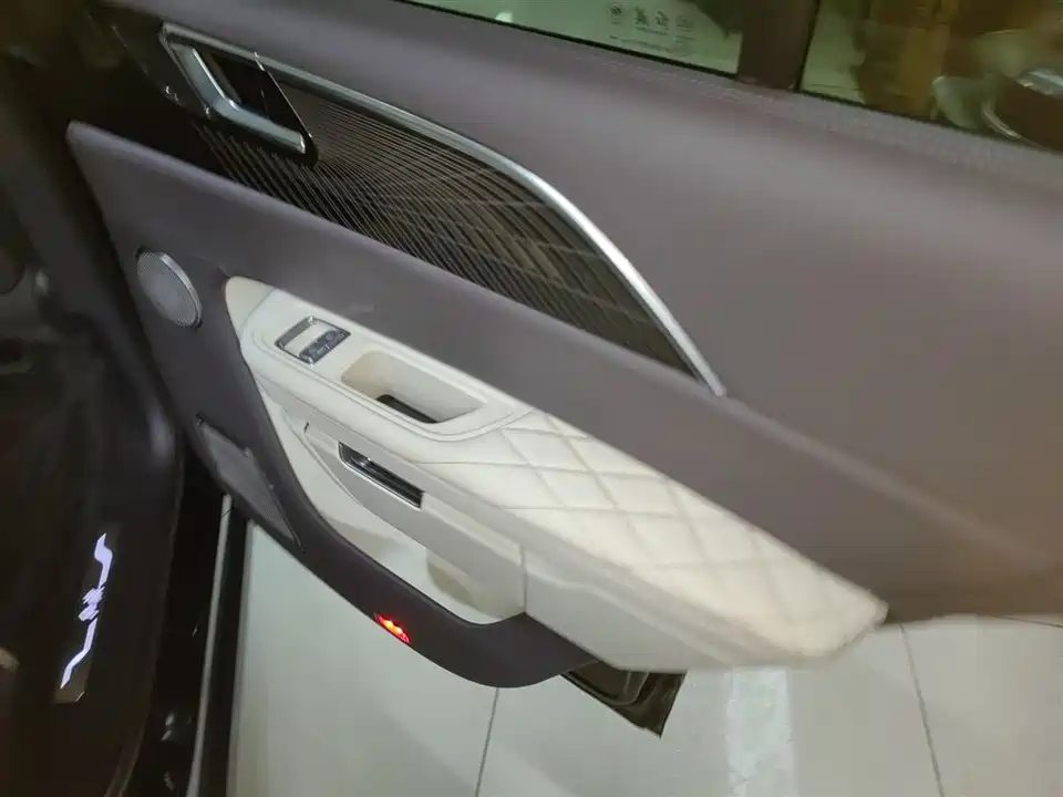 Hongqi E-HS9