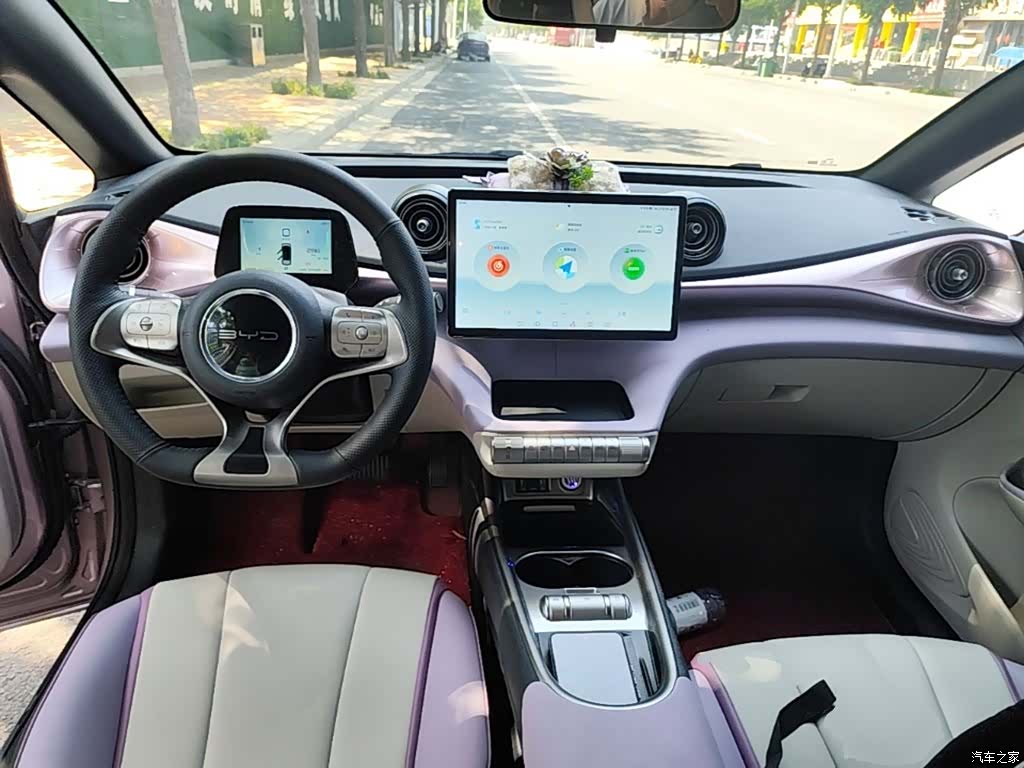 BYD Dolphin, 2022 10