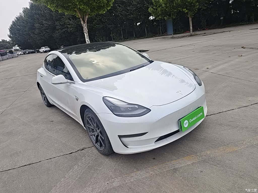 Tesla Model 3, 2021 4