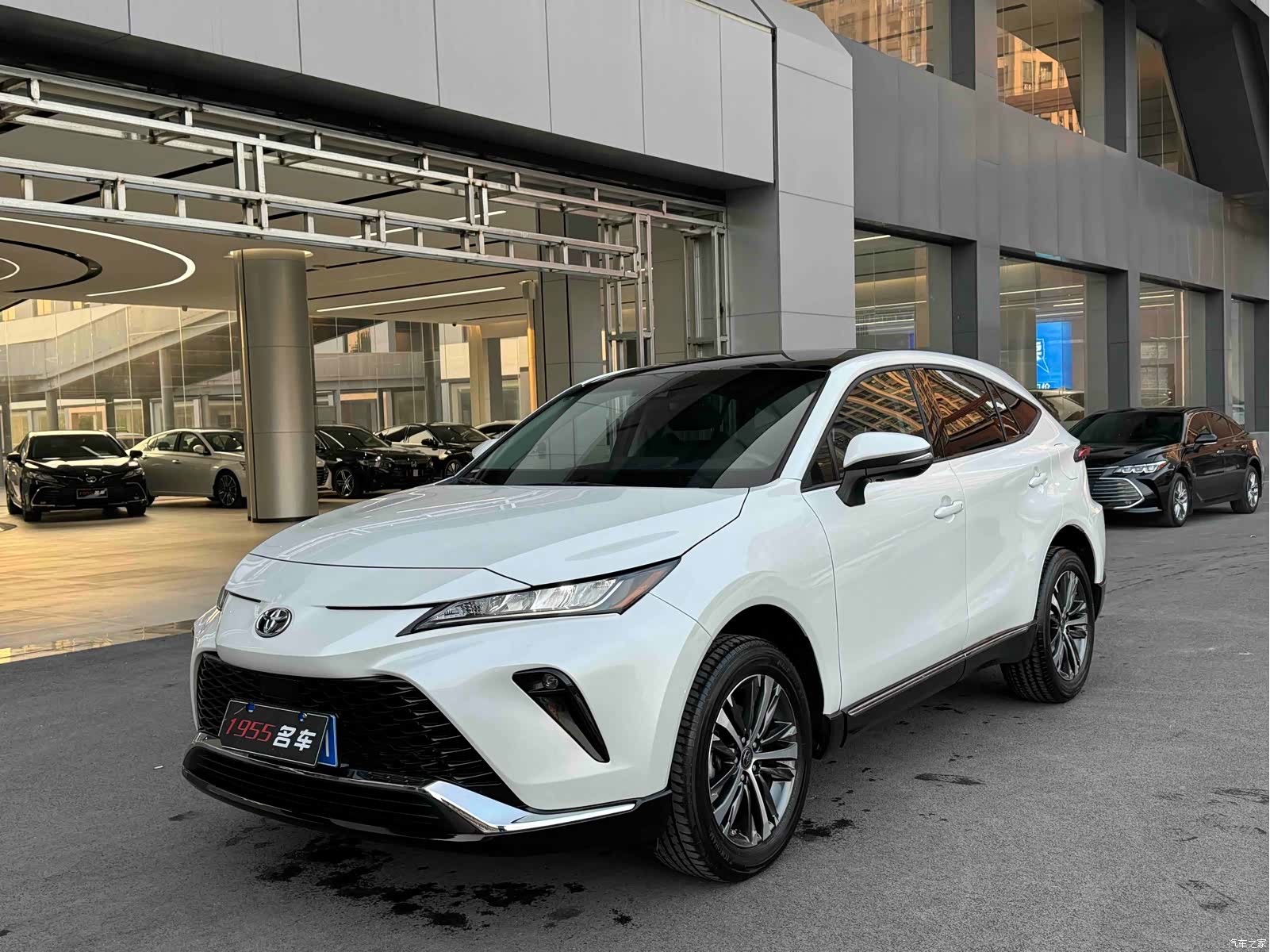 Toyota Venza