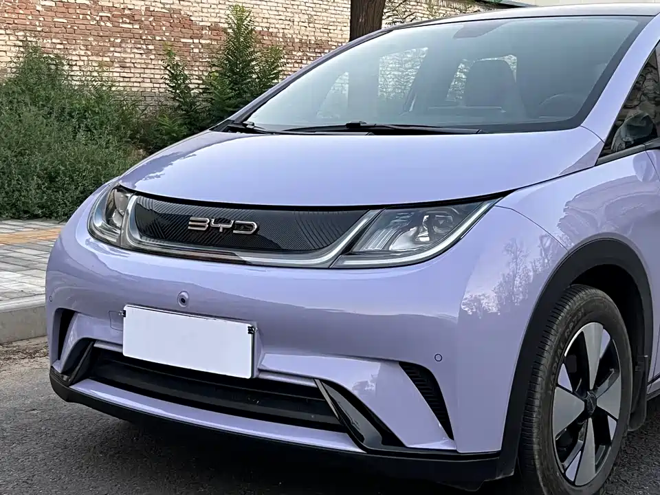 BYD dolphin