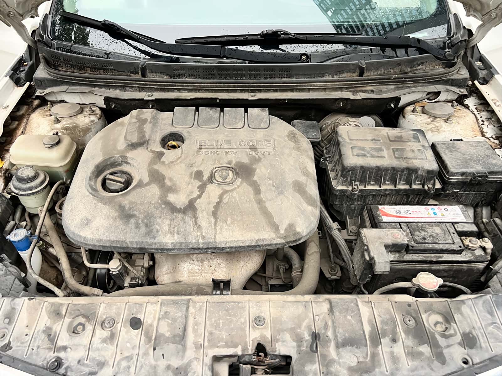 Changan Eado, 2018 23