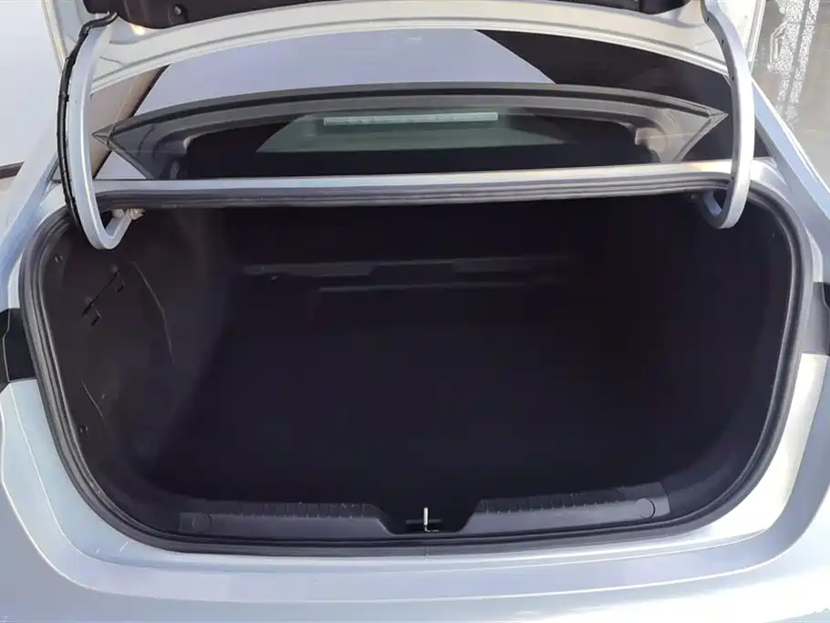 Trumpchi Shadow Leopard