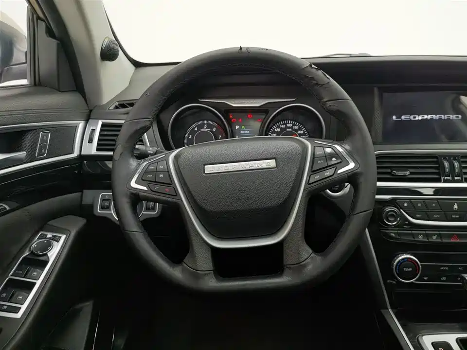 Leopaard Cheetah CS10