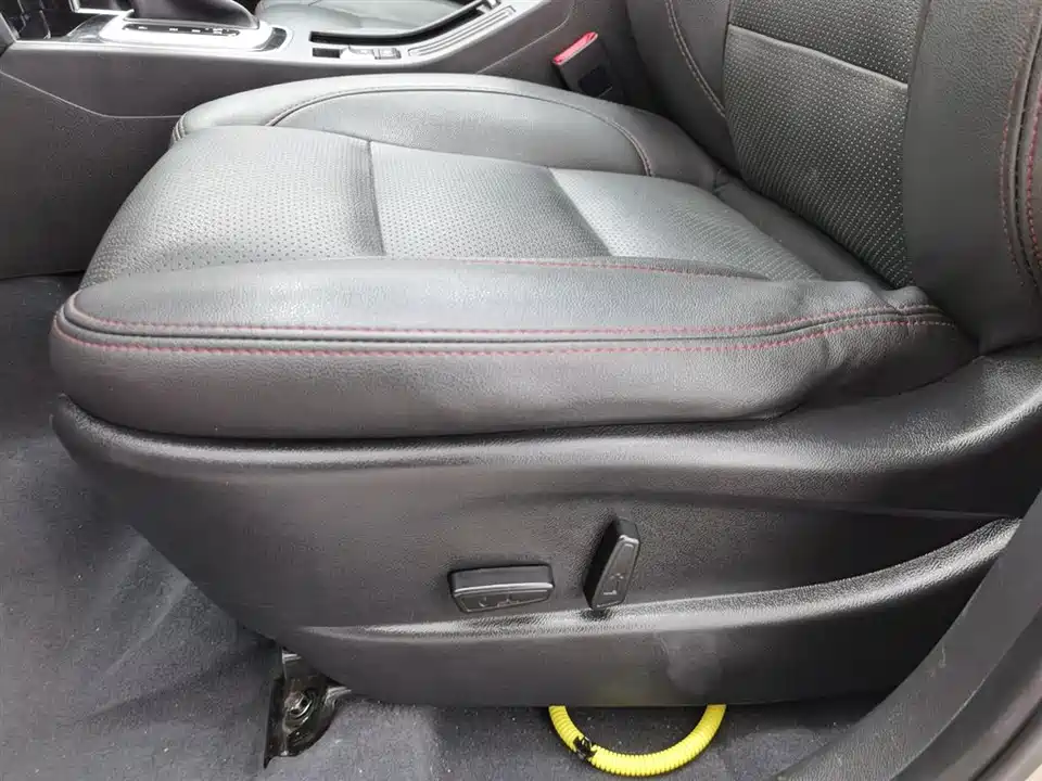 Leopaard Cheetah CS10