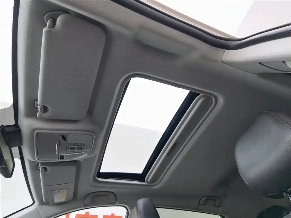 Leopaard Cheetah CS10