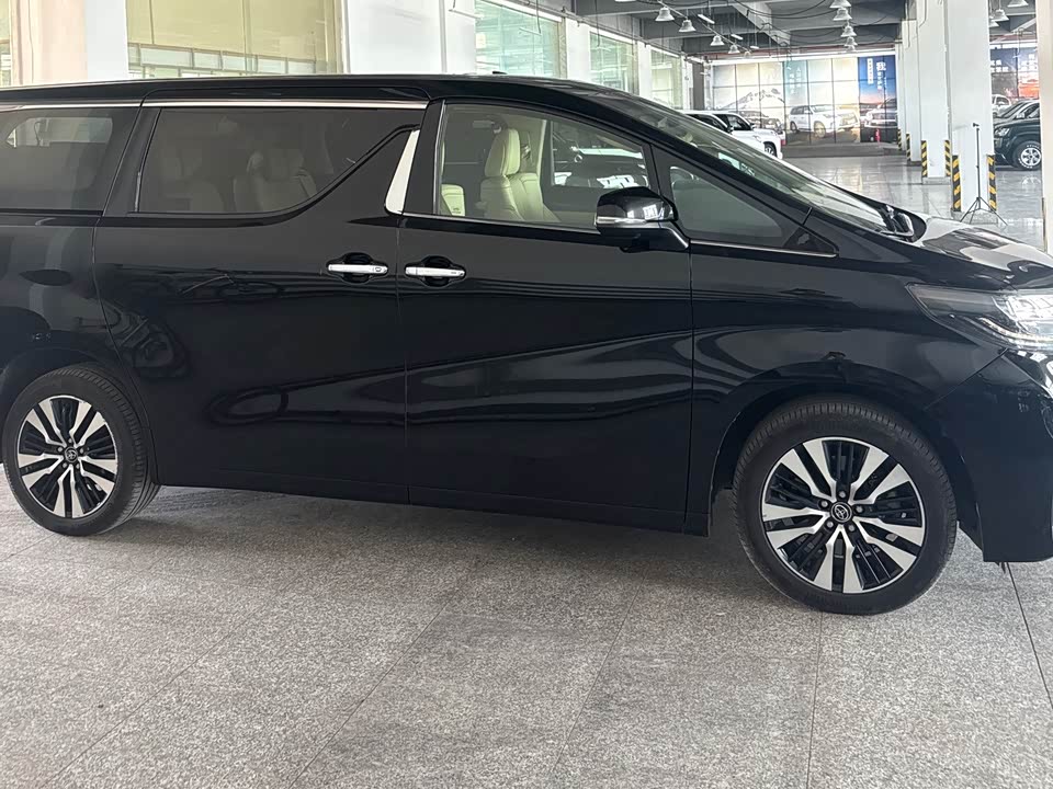 Toyota Elfa