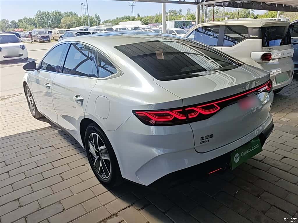 BYD Qin, 2024 все фото