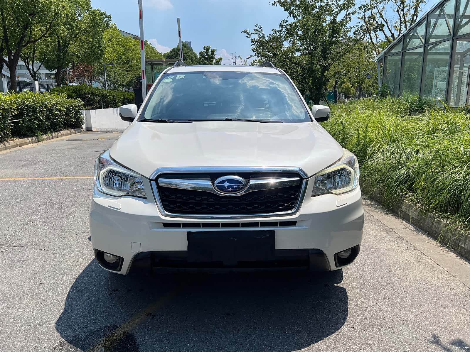 Subaru Forester, 2015 2