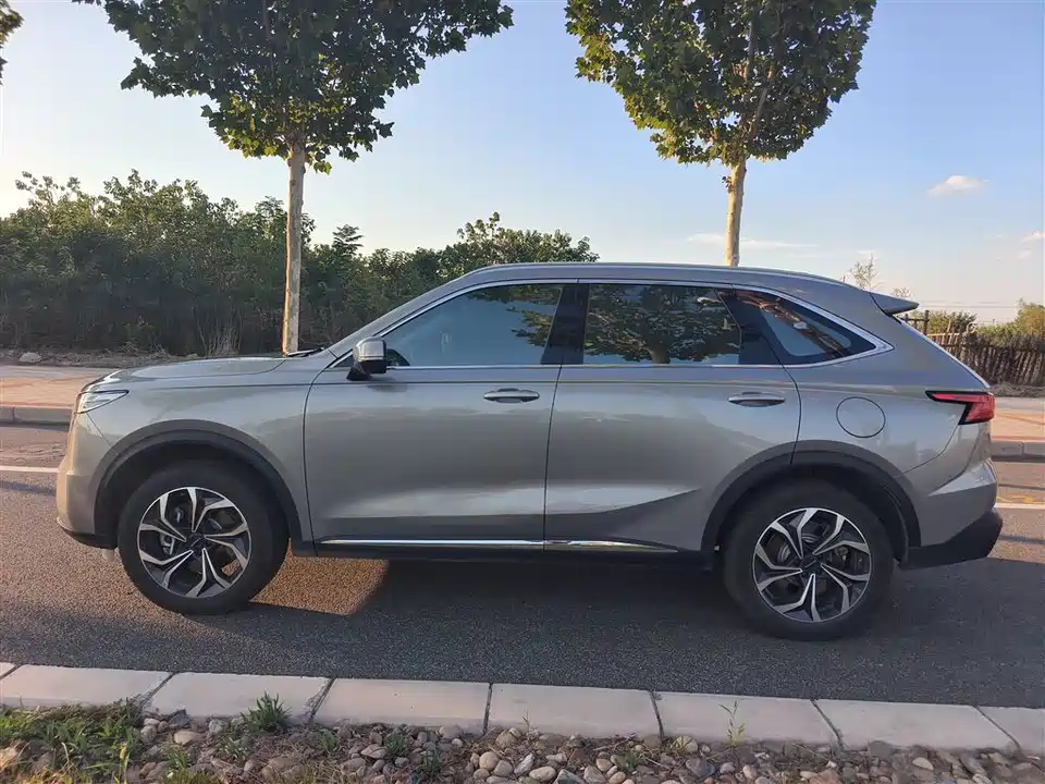 Haval Xiaolong MAX Haval Xiaolong MAX