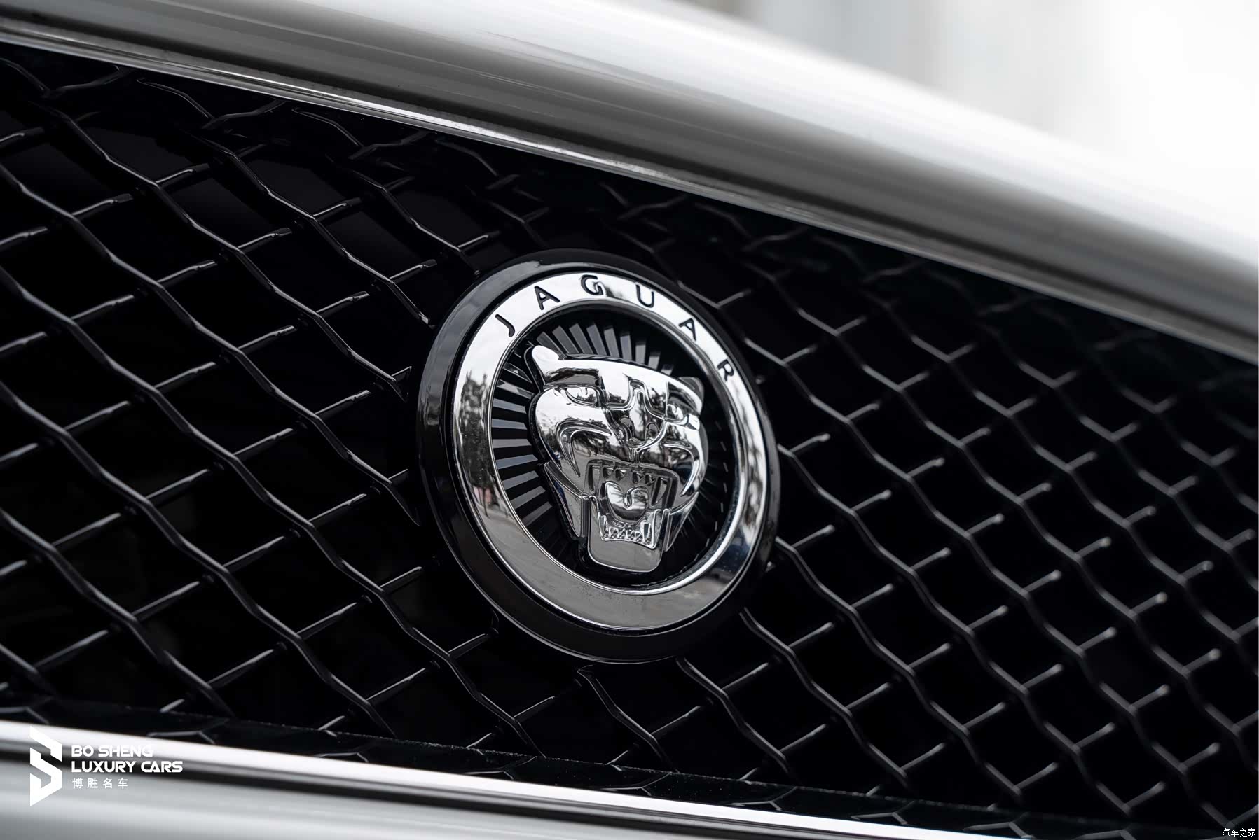 Jaguar XK, 2012 14