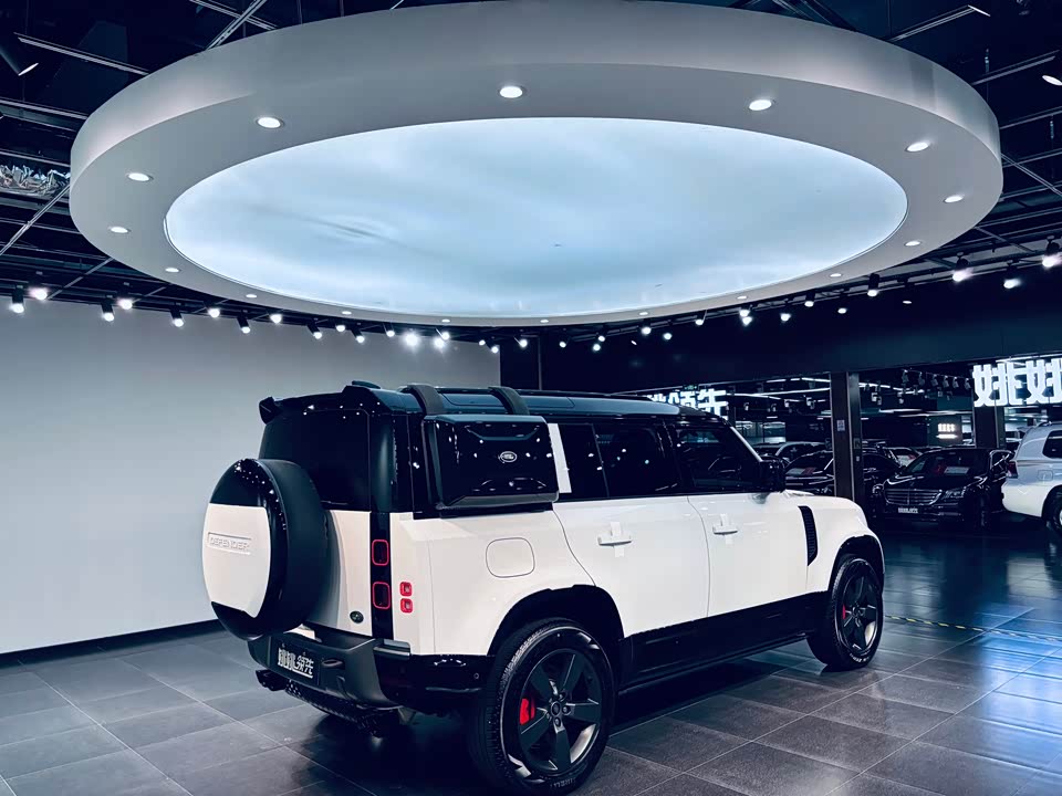 Land Rover guard