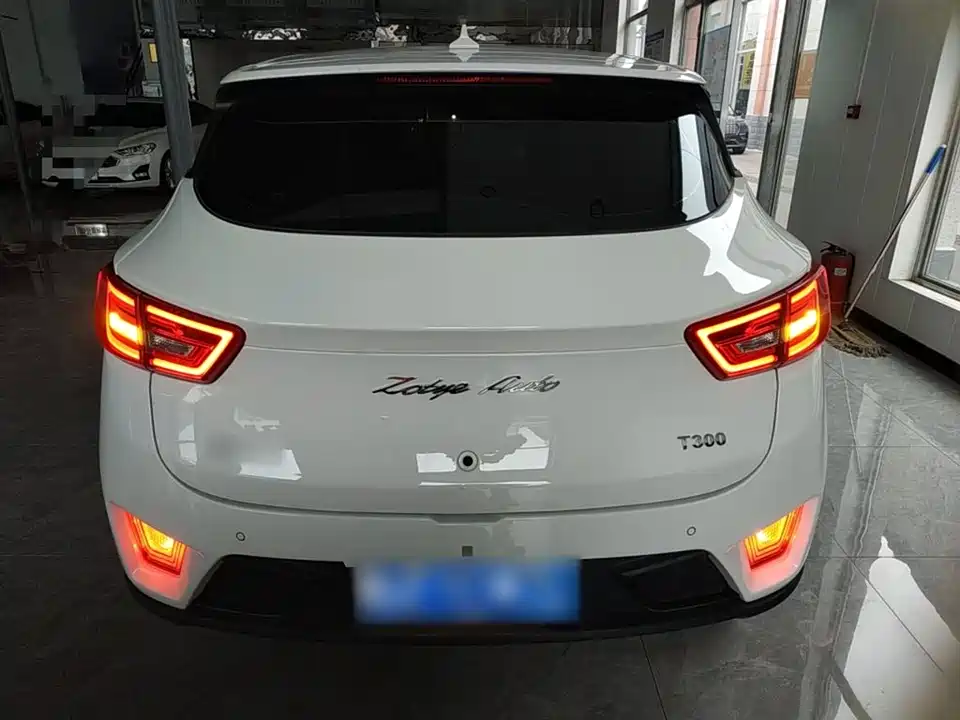 Zotye T300