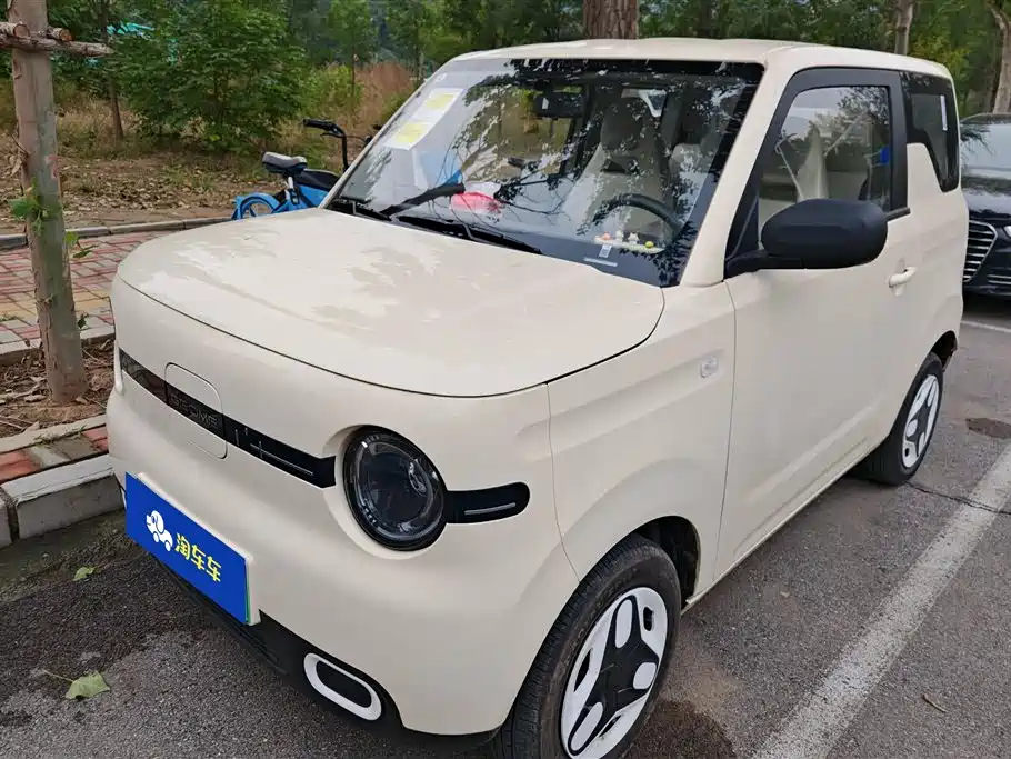 Geely Galaxy panda