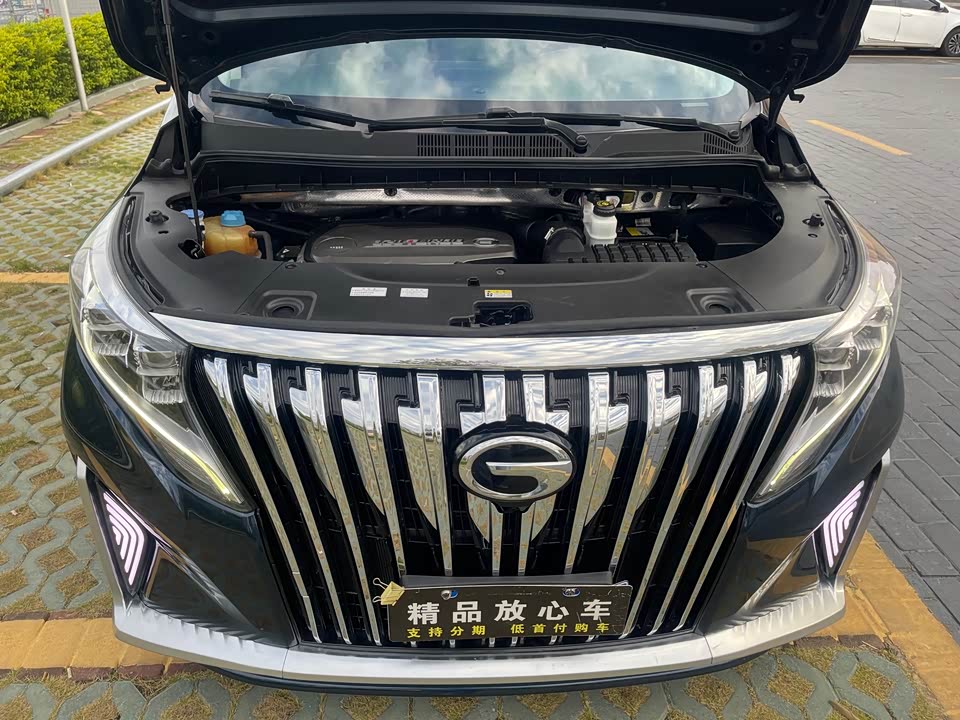 Trumpchi Trumpchi M8