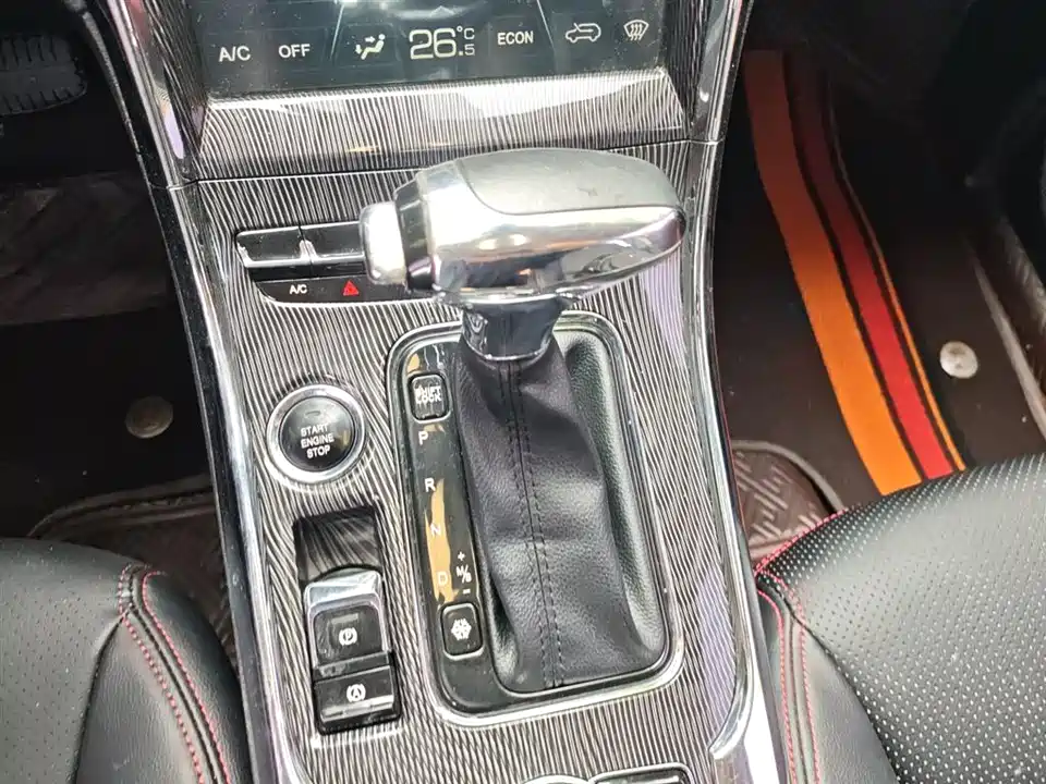 Leopaard Cheetah CS9