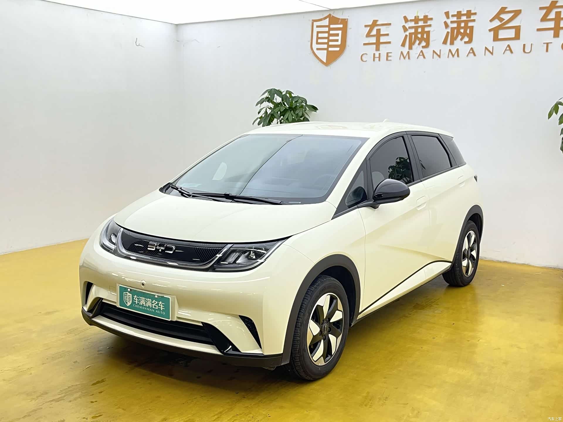 BYD Dolphin, 2026 1