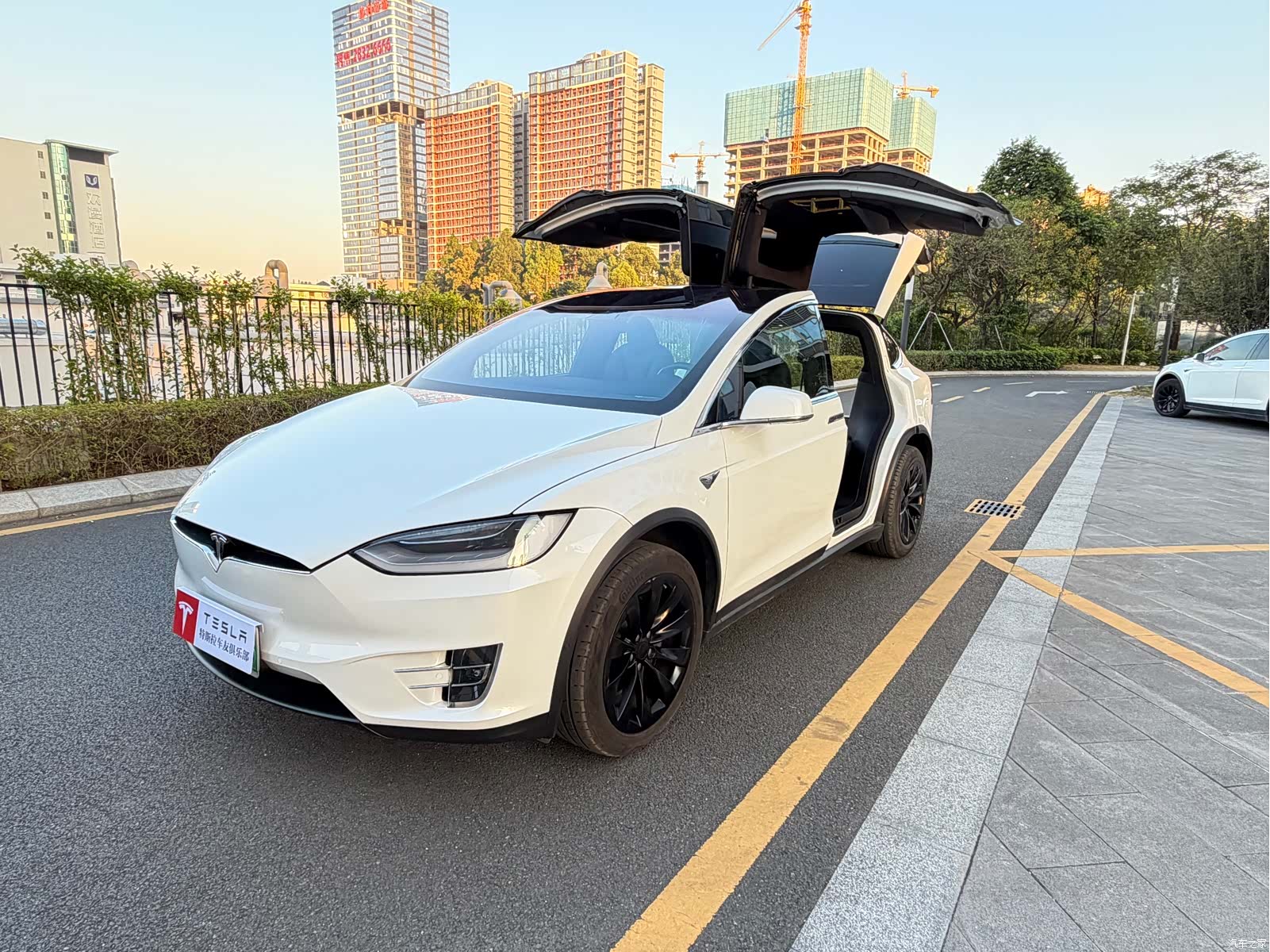 Tesla Model X, 2020 20