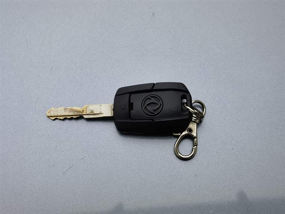 Dongfeng Handsome guest